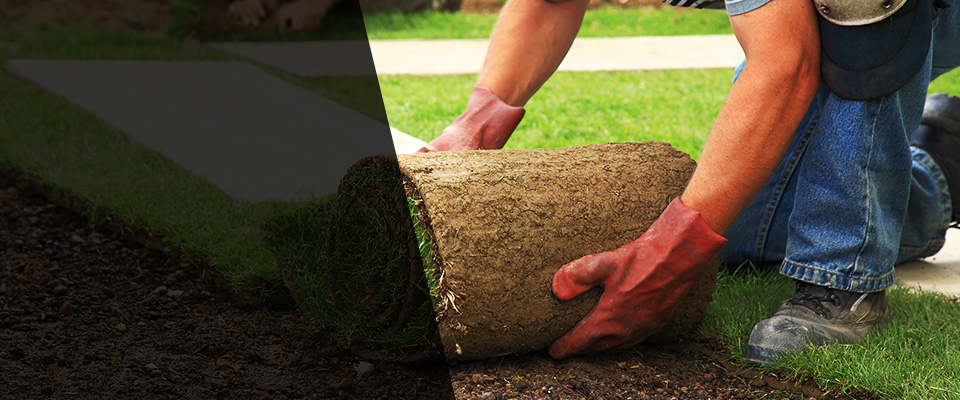 Berthoud Landscapers